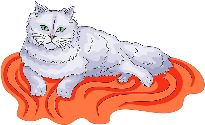 EPS 클립아트 동물 척추동물 한마리 육지동물 일러스트 포유류 사람없음 반려동물 고양이 페르시안 국내일러스트 1 파일형식 벡터