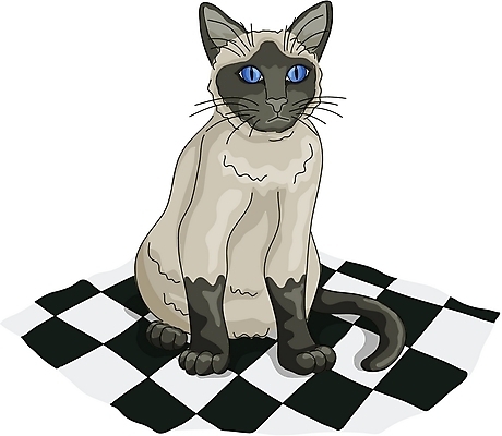 EPS 클립아트 동물 척추동물 한마리 육지동물 일러스트 포유류 사람없음 반려동물 고양이 샴고양이 국내일러스트 1 파일형식 벡터