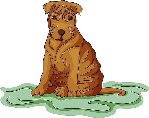 EPS 클립아트 동물 척추동물 한마리 육지동물 반려견 일러스트 포유류 사람없음 반려동물 개 샤페이 국내일러스트 1 파일형식 벡터