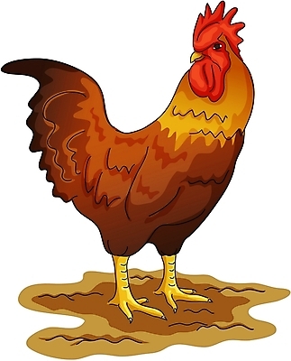 EPS 클립아트 동물 척추동물 한마리 일러스트 조류 사람없음 가축 닭 수탉 국내일러스트 1 수컷 파일형식 벡터