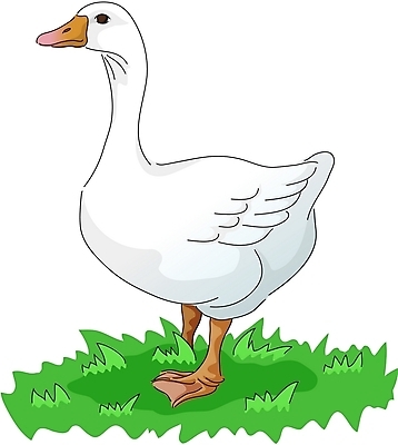 EPS 클립아트 동물 척추동물 한마리 일러스트 조류 사람없음 가축 풀 거위 국내일러스트 식물 1 파일형식 벡터