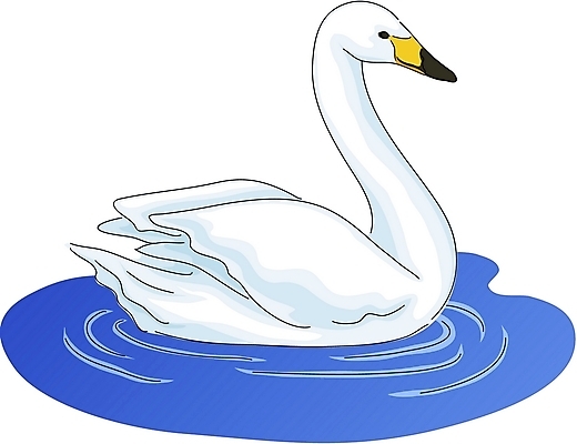 EPS 클립아트 동물 척추동물 한마리 야생동물 일러스트 조류 사람없음 수면 백조 국내일러스트 1 물 파일형식 벡터