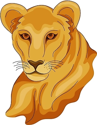 EPS 클립아트 동물 척추동물 한마리 육지동물 야생동물 일러스트 포유류 사람없음 사자 암사자 국내일러스트 1 암컷 파일형식 벡터