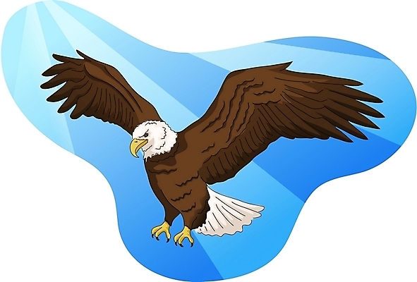 EPS 클립아트 동물 척추동물 한마리 야생동물 날개 일러스트 조류 하늘 사람없음 독수리 국내일러스트 1 파일형식 벡터