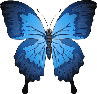 EPS 클립아트 동물 한마리 컬러 나비 곤충 무늬 절지류 일러스트 사람없음 파란색 나비무늬 국내일러스트 1 파일형식 벡터