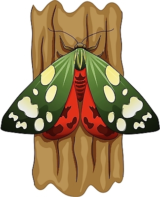 EPS 클립아트 나무 동물 한마리 곤충 절지류 일러스트 사람없음 나방 국내일러스트 식물 1 파일형식 벡터