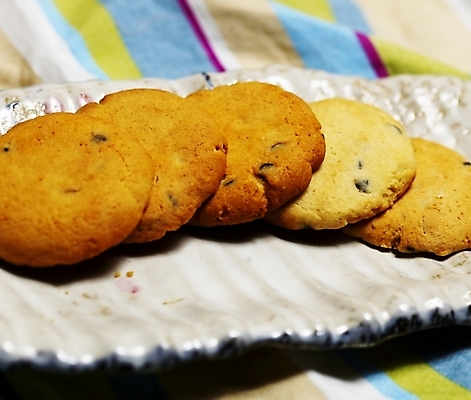 포토 JPG 스튜디오촬영 접시 음식 빵 디저트 실내 근접촬영 사람없음 가로 쿠키 과자 제빵 국내포토 식기 뷰포인트 내부 제과제빵 파일형식