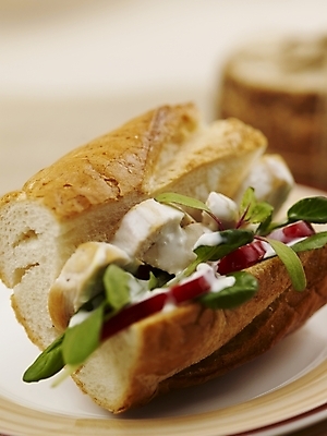 포토 JPG 스튜디오촬영 음식 빵 실내 샌드위치 근접촬영 사람없음 세로 식탁보 바게트 국내포토 뷰포인트 내부 파일형식