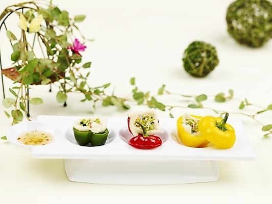 포토 JPG 스튜디오촬영 그릇 접시 음식 피망 파프리카 서양음식 실내 사람없음 장식 가로 빨간색 초록색 노란색 샐러드 덩굴 파프리카요리 국내포토 식물 식기 컬러 채소 파일형식