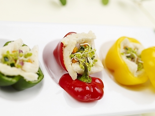 포토 JPG 스튜디오촬영 그릇 접시 음식 피망 파프리카 서양음식 실내 근접촬영 사람없음 가로 빨간색 초록색 노란색 샐러드 파프리카요리 국내포토 식기 뷰포인트 컬러 채소 내부 파일형식