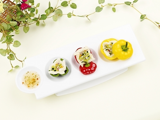 포토 JPG 스튜디오촬영 그릇 접시 음식 피망 파프리카 서양음식 실내 사람없음 장식 가로 빨간색 초록색 하이앵글 노란색 샐러드 덩굴 파프리카요리 국내포토 식물 식기 뷰포인트 컬러 채소 파일형식