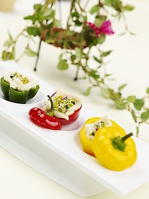 포토 JPG 스튜디오촬영 그릇 접시 음식 피망 파프리카 서양음식 실내 근접촬영 사람없음 빨간색 세로 초록색 노란색 샐러드 파프리카요리 국내포토 식기 뷰포인트 컬러 채소 내부 파일형식