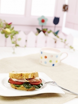 포토 JPG 스튜디오촬영 그릇 접시 꽃 음식 고추 치즈 서양음식 실내 샌드위치 사람없음 장식 컵 세로 초록색 노란색 우유 머그컵 덩굴 국내포토 식물 식기 컬러 채소 유제품 내부 파일형식