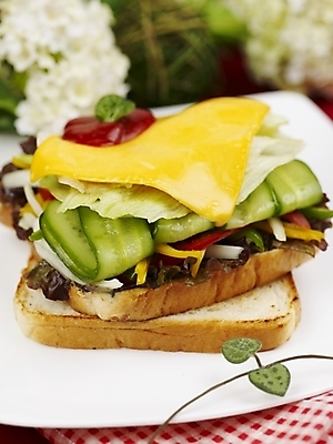 포토 JPG 스튜디오촬영 그릇 접시 꽃 음식 고추 치즈 서양음식 실내 샌드위치 근접촬영 사람없음 장식 컵 세로 초록색 노란색 우유 머그컵 덩굴 국내포토 식물 식기 뷰포인트 컬러 채소 유제품 내부 파일형식