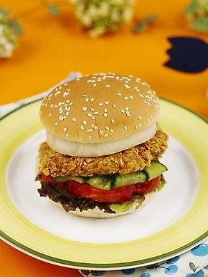 포토 JPG 스튜디오촬영 그릇 접시 음식 패스트푸드 실내 근접촬영 사람없음 장식 세로 햄버거 식탁보 치킨버거 국내포토 식기 뷰포인트 인스턴트 파일형식