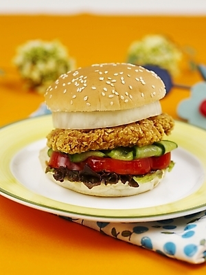 포토 JPG 스튜디오촬영 그릇 접시 음식 패스트푸드 실내 근접촬영 사람없음 세로 햄버거 식탁보 치킨버거 국내포토 식기 뷰포인트 내부 인스턴트 파일형식