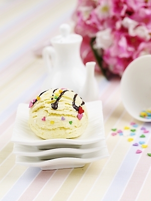 포토 JPG 스튜디오촬영 그릇 접시 꽃 음식 주전자 아이스크림 디저트 실내 사람없음 컵 세로 흰색 찻잔 컵받침 시럽 크리머 바닐라아이스크림 국내포토 식물 식기 컬러 주방용품 잔 내부 받침대 파일형식