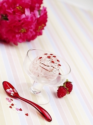 포토 JPG 스튜디오촬영 식물 그릇 꽃 음식 분홍색 과일 아이스크림 디저트 실내 사람없음 빨간색 숟가락 유리그릇 믹싱볼 국내포토 식기 컬러 유리 수저 내부 파일형식