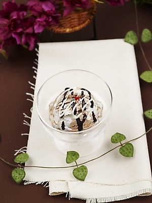 포토 JPG 스튜디오촬영 그릇 음식 의자 아이스크림 디저트 실내 사람없음 장식 세로 장난감 장미 초콜릿 덩굴 시럽 유리그릇 믹싱볼 국내포토 식물 식기 꽃 가구 유리 파일형식