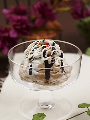 포토 JPG 스튜디오촬영 그릇 음식 의자 아이스크림 디저트 실내 근접촬영 사람없음 장식 세로 장난감 장미 초콜릿 시럽 유리그릇 믹싱볼 국내포토 식기 꽃 뷰포인트 가구 유리 파일형식