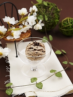 포토 JPG 스튜디오촬영 그릇 꽃 음식 의자 아이스크림 디저트 실내 사람없음 장식 세로 장난감 장미 초콜릿 덩굴 시럽 유리그릇 믹싱볼 국내포토 식물 식기 가구 유리 파일형식