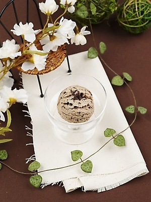 포토 JPG 스튜디오촬영 그릇 꽃 음식 의자 아이스크림 디저트 실내 사람없음 장식 세로 장난감 초콜릿 시럽 유리그릇 믹싱볼 국내포토 식물 식기 가구 유리 내부 파일형식