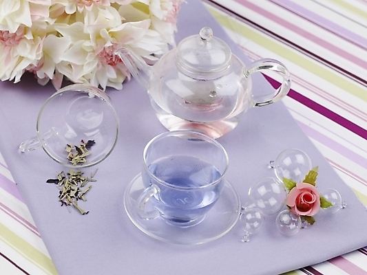 포토 JPG 스튜디오촬영 음료 음식 주전자 잔 실내 사람없음 가로 차 찻잔 유리주전자 국내포토 식기 유리 주방용품 내부 파일형식