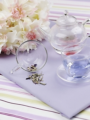 포토 JPG 스튜디오촬영 꽃 음료 음식 주전자 잔 실내 사람없음 장식 세로 장미 차 찻잔 찻주전자 유리주전자 국내포토 식물 식기 유리 주방용품 내부 파일형식