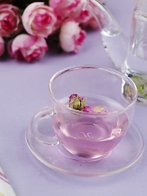 포토 JPG 스튜디오촬영 꽃 음료 음식 분홍색 주전자 잔 실내 사람없음 장식 세로 장미 차 찻잔 찻주전자 유리주전자 장미차 국내포토 식물 식기 컬러 유리 주방용품 내부 꽃차 파일형식