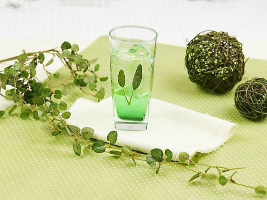 포토 JPG 스튜디오촬영 음료 음식 줄기 잎 잔 실내 사람없음 장식 가로 주스 덩굴 알로에주스 국내포토 식물 식기 내부 과일주스 파일형식