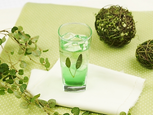 포토 JPG 스튜디오촬영 음료 음식 줄기 잎 잔 실내 사람없음 장식 가로 주스 덩굴 알로에주스 국내포토 식물 식기 내부 과일주스 파일형식