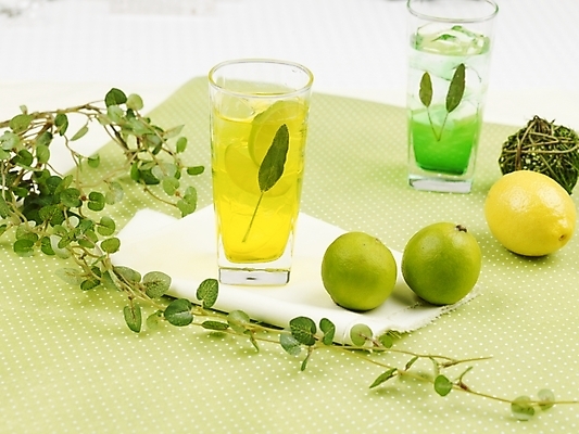 포토 JPG 스튜디오촬영 식물 음료 음식 줄기 잎 과일 나뭇잎 잔 실내 사람없음 장식 가로 초록색 노란색 주스 덩굴 레몬 레몬차 과일차 국내포토 식기 컬러 내부 차_음료 파일형식