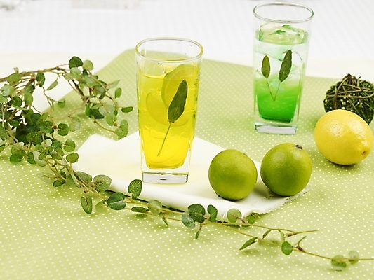포토 JPG 스튜디오촬영 식물 음료 음식 줄기 잎 과일 나뭇잎 잔 실내 사람없음 장식 가로 초록색 노란색 주스 덩굴 레몬 레몬차 과일차 국내포토 식기 컬러 내부 차_음료 파일형식
