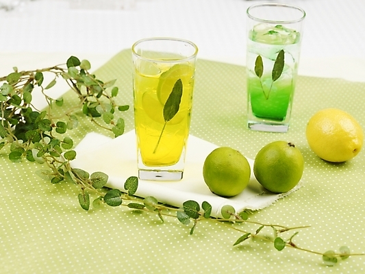 포토 JPG 스튜디오촬영 식물 음료 음식 줄기 잎 과일 나뭇잎 잔 실내 사람없음 장식 가로 초록색 노란색 주스 레몬 레몬차 과일차 국내포토 식기 컬러 내부 차_음료 파일형식