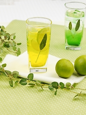 포토 JPG 스튜디오촬영 식물 음료 음식 줄기 잎 과일 나뭇잎 실내 사람없음 장식 세로 초록색 노란색 주스 덩굴 레몬 레몬차 과일차 국내포토 컬러 내부 차_음료 파일형식