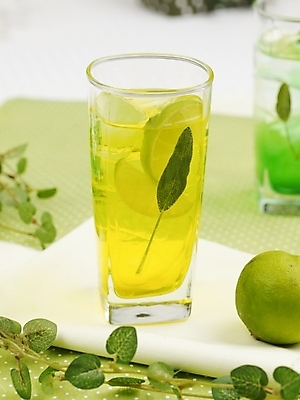 포토 JPG 스튜디오촬영 식물 음료 음식 줄기 잎 과일 나뭇잎 잔 실내 근접촬영 사람없음 장식 세로 초록색 노란색 주스 레몬 레몬차 과일차 국내포토 식기 뷰포인트 컬러 내부 차_음료 파일형식