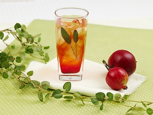 포토 JPG 스튜디오촬영 음료 음식 줄기 잎 나뭇잎 잔 실내 사람없음 장식 가로 주스 석류 국내포토 식물 식기 과일 내부 파일형식