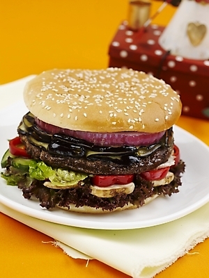 포토 JPG 스튜디오촬영 그릇 접시 음식 패스트푸드 실내 근접촬영 사람없음 장식 세로 피규어 햄버거 오브젝트 국내포토 식기 뷰포인트 내부 미니어처 인스턴트 파일형식