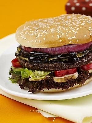 포토 JPG 스튜디오촬영 그릇 접시 음식 패스트푸드 실내 근접촬영 사람없음 세로 피규어 햄버거 국내포토 식기 뷰포인트 내부 미니어처 인스턴트 파일형식