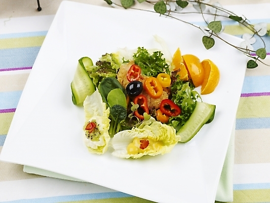 포토 JPG 스튜디오촬영 그릇 접시 음식 채소 오렌지 피망 오이 서양음식 실내 근접촬영 사람없음 장식 가로 초록색 하이앵글 노란색 샐러드 식탁보 흰색 배추 국내포토 식기 뷰포인트 컬러 과일 내부 파일형식