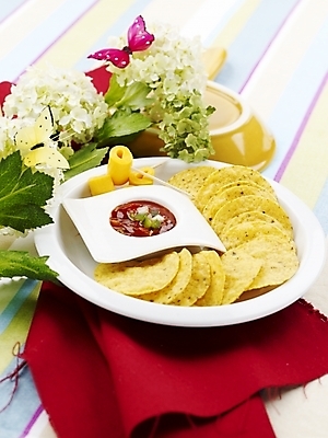 포토 JPG 스튜디오촬영 접시 꽃 음식 나비 디저트 실내 근접촬영 사람없음 장식 빨간색 세로 초록색 장미 안주 칠리소스 이쑤시개 나초 국내포토 식물 식기 뷰포인트 컬러 곤충 내부 소스_음식 파일형식