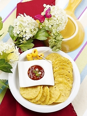 포토 JPG 스튜디오촬영 그릇 접시 꽃 음식 나비 디저트 서양음식 실내 사람없음 장식 세로 튀김 안주 칠리소스 나초 튀김꼬치 국내포토 식물 식기 곤충 내부 소스_음식 꼬치 파일형식