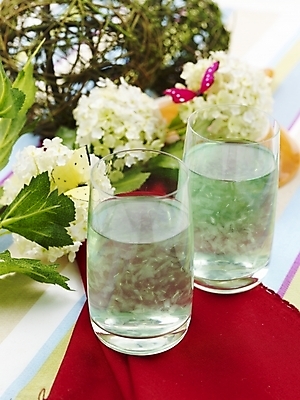 포토 JPG 스튜디오촬영 꽃 음료 음식 나비 잔 실내 근접촬영 사람없음 장식 세로 주스 식탁보 알로에주스 국내포토 식물 식기 뷰포인트 곤충 내부 과일주스 파일형식