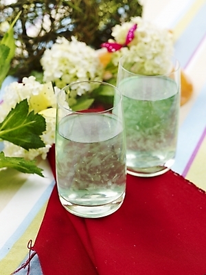 포토 JPG 스튜디오촬영 꽃 음료 음식 나비 잔 실내 근접촬영 사람없음 장식 세로 장미 주스 식탁보 알로에주스 국내포토 식물 식기 뷰포인트 곤충 내부 과일주스 파일형식