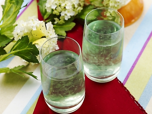 포토 JPG 스튜디오촬영 꽃 음료 음식 나비 잔 실내 근접촬영 사람없음 장식 가로 하이앵글 장미 주스 식탁보 알로에주스 국내포토 식물 식기 뷰포인트 곤충 내부 과일주스 파일형식