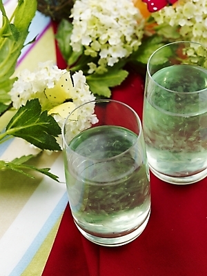 포토 JPG 스튜디오촬영 꽃 음료 음식 나비 잔 실내 근접촬영 사람없음 장식 세로 하이앵글 주스 식탁보 알로에주스 국내포토 식물 식기 뷰포인트 곤충 내부 과일주스 파일형식