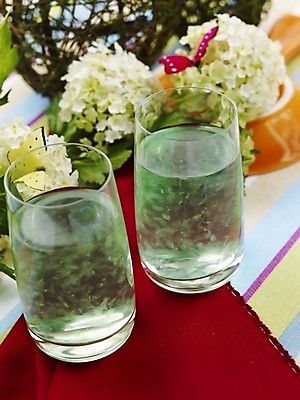 포토 JPG 스튜디오촬영 꽃 음료 음식 나비 잔 실내 근접촬영 사람없음 장식 세로 주스 식탁보 알로에주스 국내포토 식물 식기 뷰포인트 곤충 내부 과일주스 파일형식