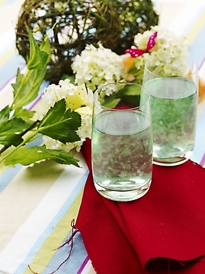 포토 JPG 스튜디오촬영 꽃 음료 음식 나비 잔 실내 근접촬영 사람없음 장식 장미 주스 식탁보 알로에주스 국내포토 식물 식기 뷰포인트 곤충 내부 과일주스 파일형식