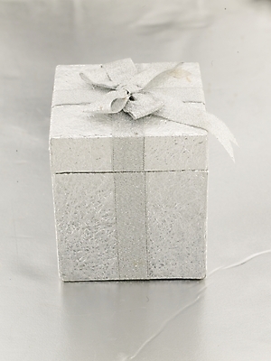 포토 JPG 스튜디오촬영 리본 포장 실내 선물 누끼 사람없음 세로 선물상자 상자 한개 오브젝트 국내포토 1 내부 파일형식