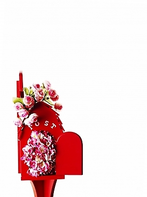 포토 JPG 스튜디오촬영 꽃 실내 누끼 사람없음 빨간색 세로 우체통 오브젝트 국내포토 식물 컬러 내부 파일형식